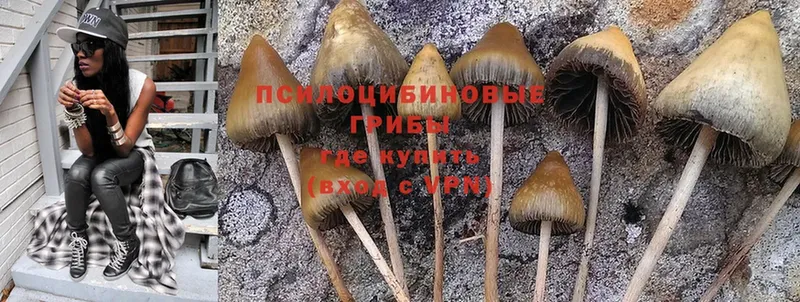 Псилоцибиновые грибы Magic Shrooms  mega ссылки  Глазов 